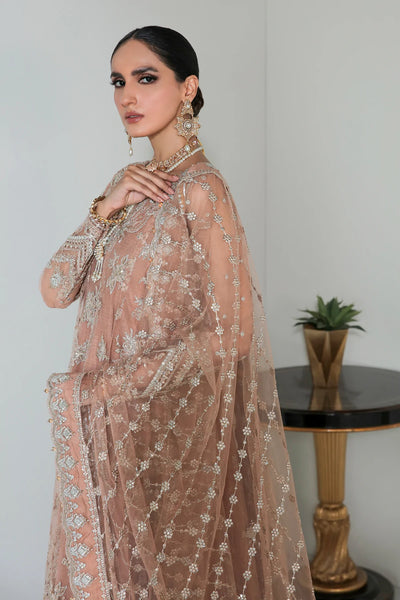 Designer Heavy Embroidered Net Suit at PinkPhulkari CaliforniaDesigner Heavy Embroidered Net Suit at PinkPhulkari California