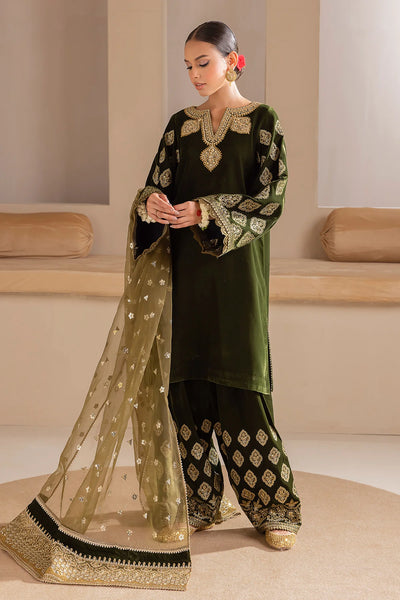 Dark Olive Green Embroidered Velvet Salwar Suit at PinkPhulkari California